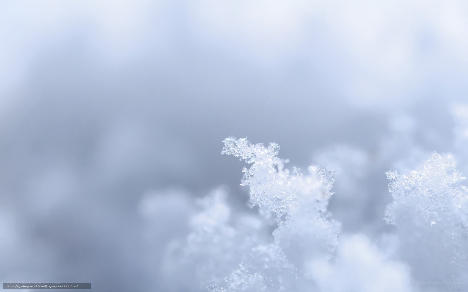 Close-up of snowflake crystals