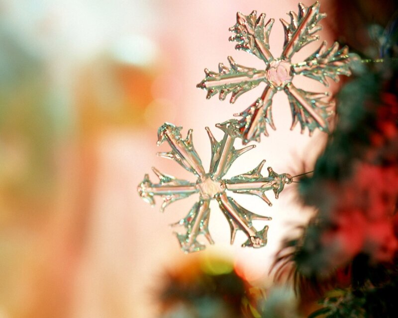 Close-up of snowflake ornaments