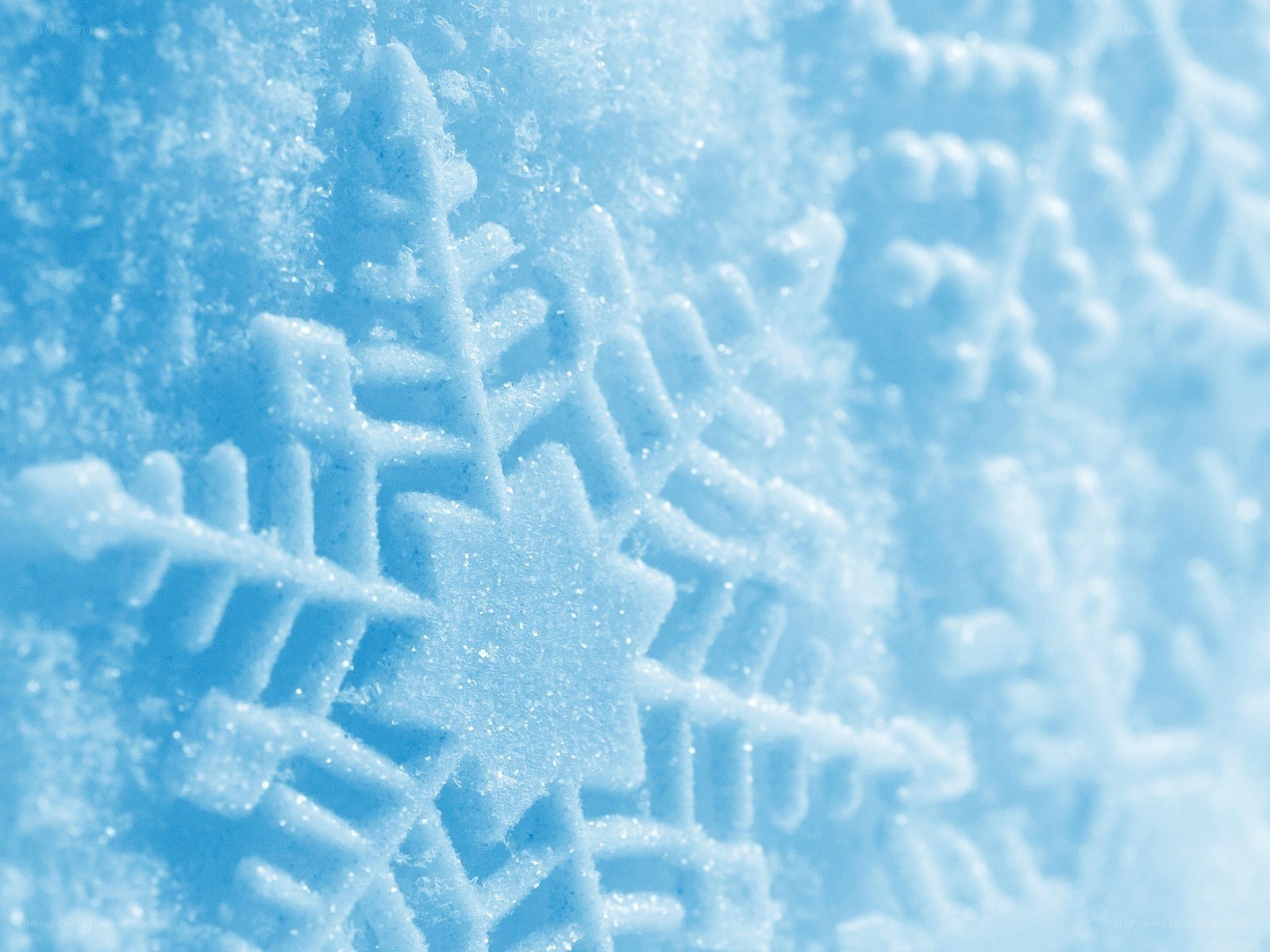 Close-up of snowflake texture