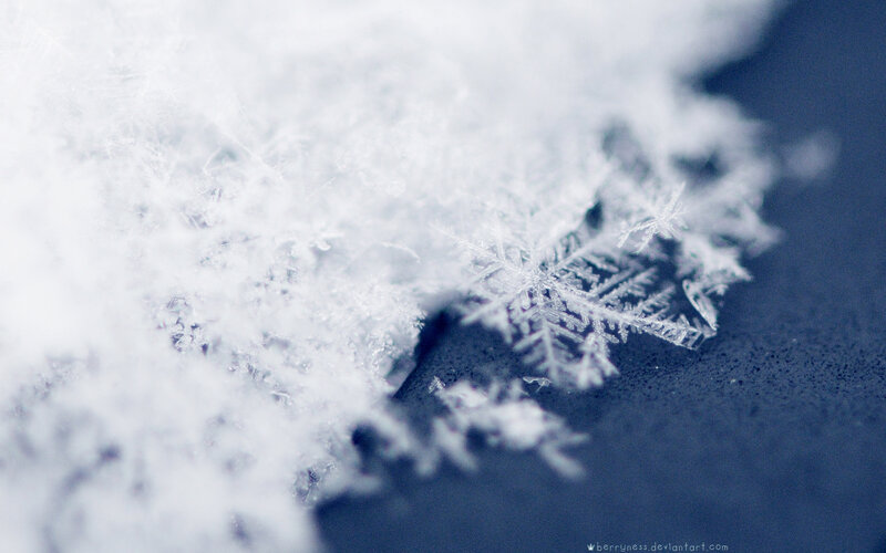 Close-up of snowflake