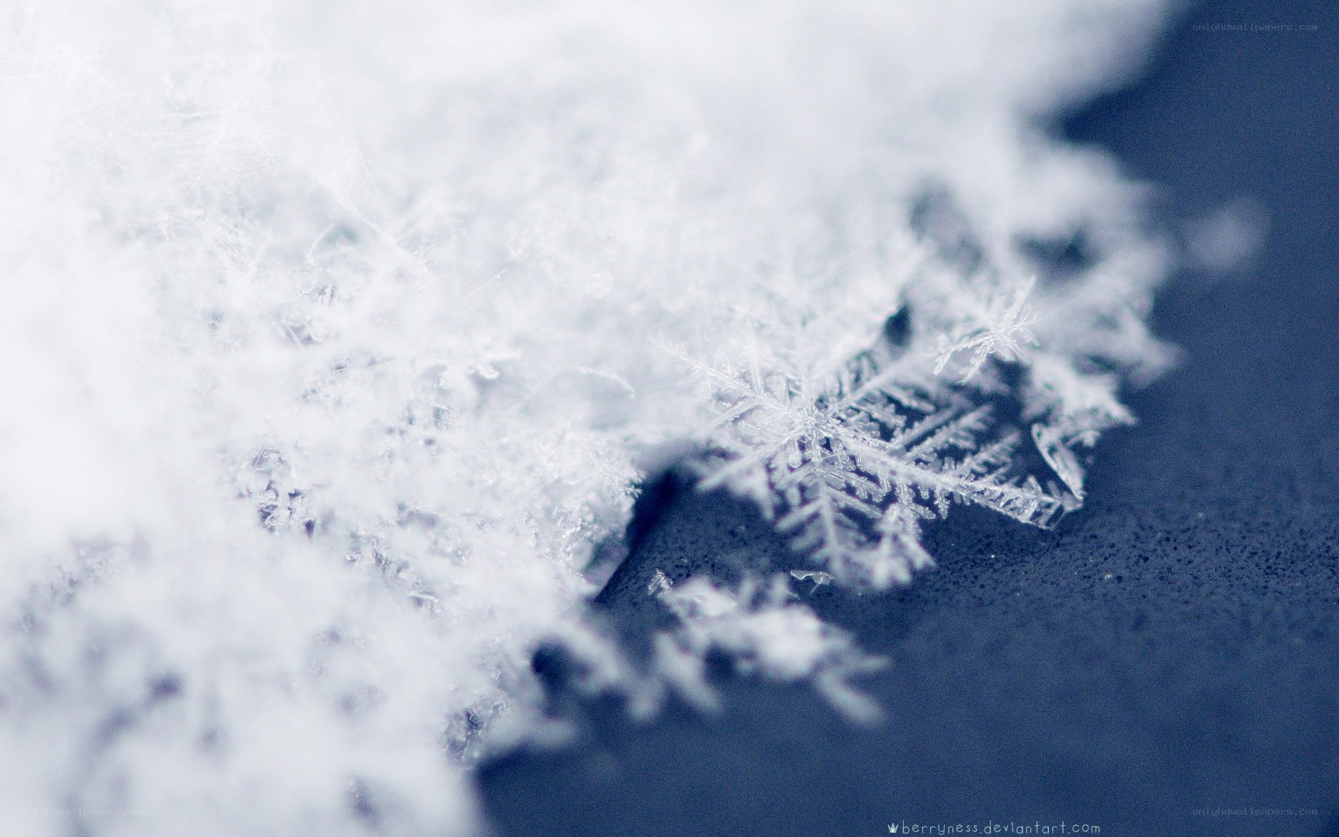 Close-up of snowflake