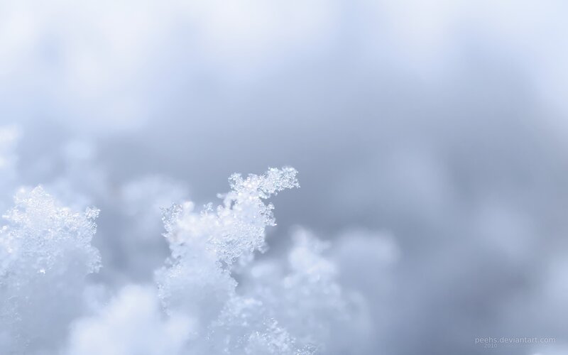 Close-up of snowflakes