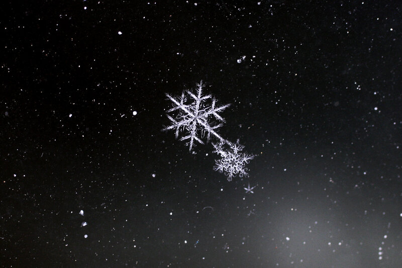 Close-up of snowflakes
