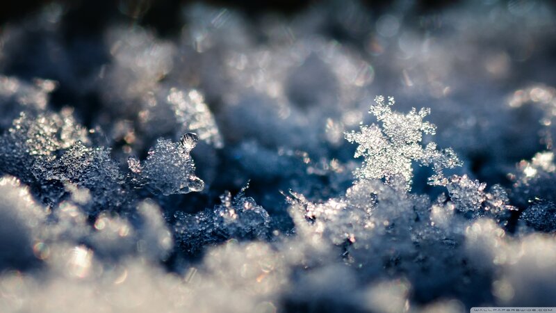 Close-up of snowflakes