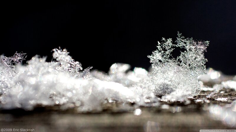 close-up of snowflakes