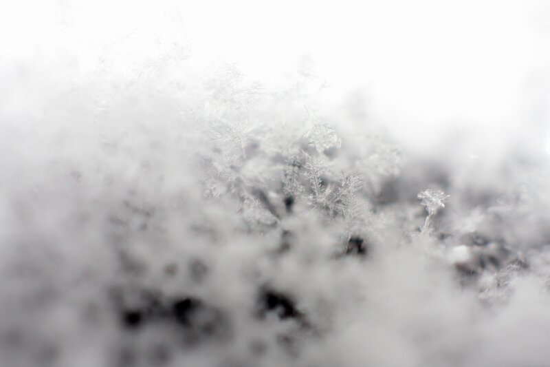 close-up of snowflakes