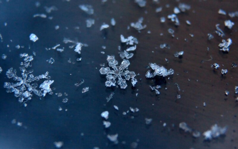 Close-up of snowflakes