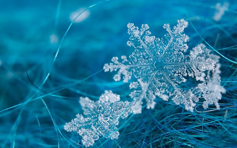 Close-up of snowflakes