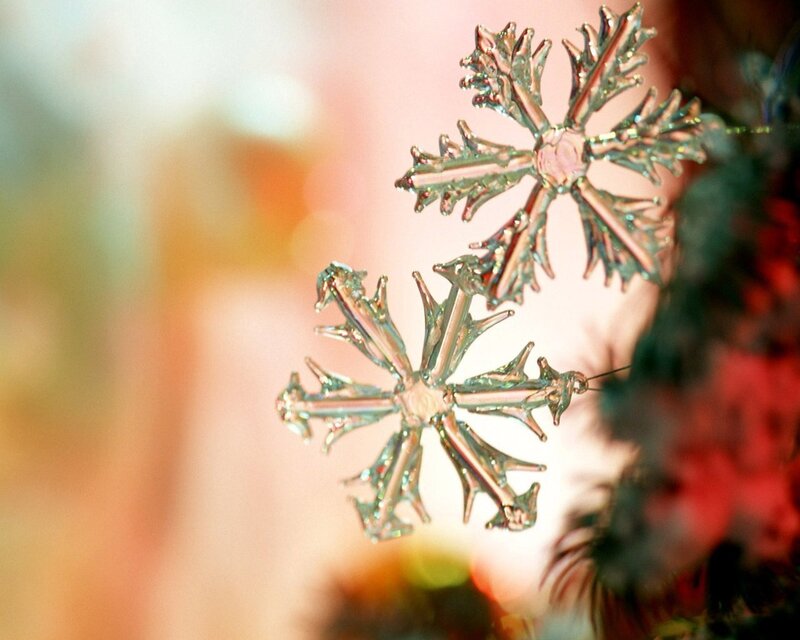 Close-up of snowflakes