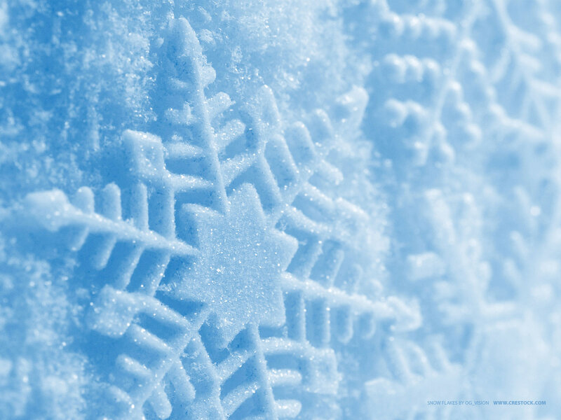 Close-up of snowflakes