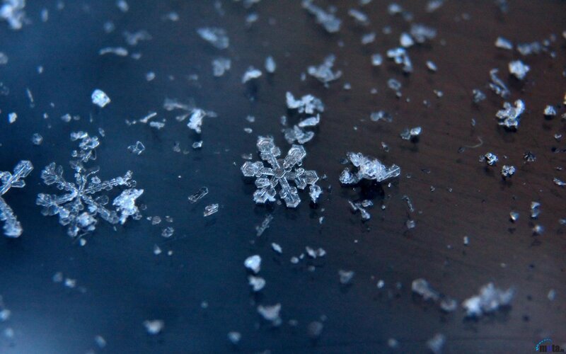 Close-up of snowflakes