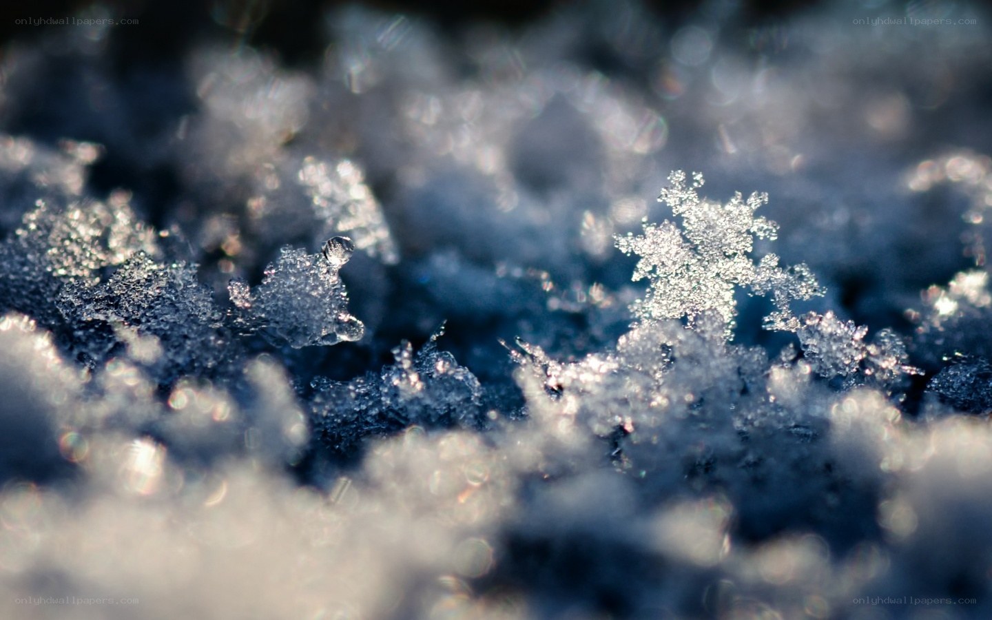 Close-up of snowflakes
