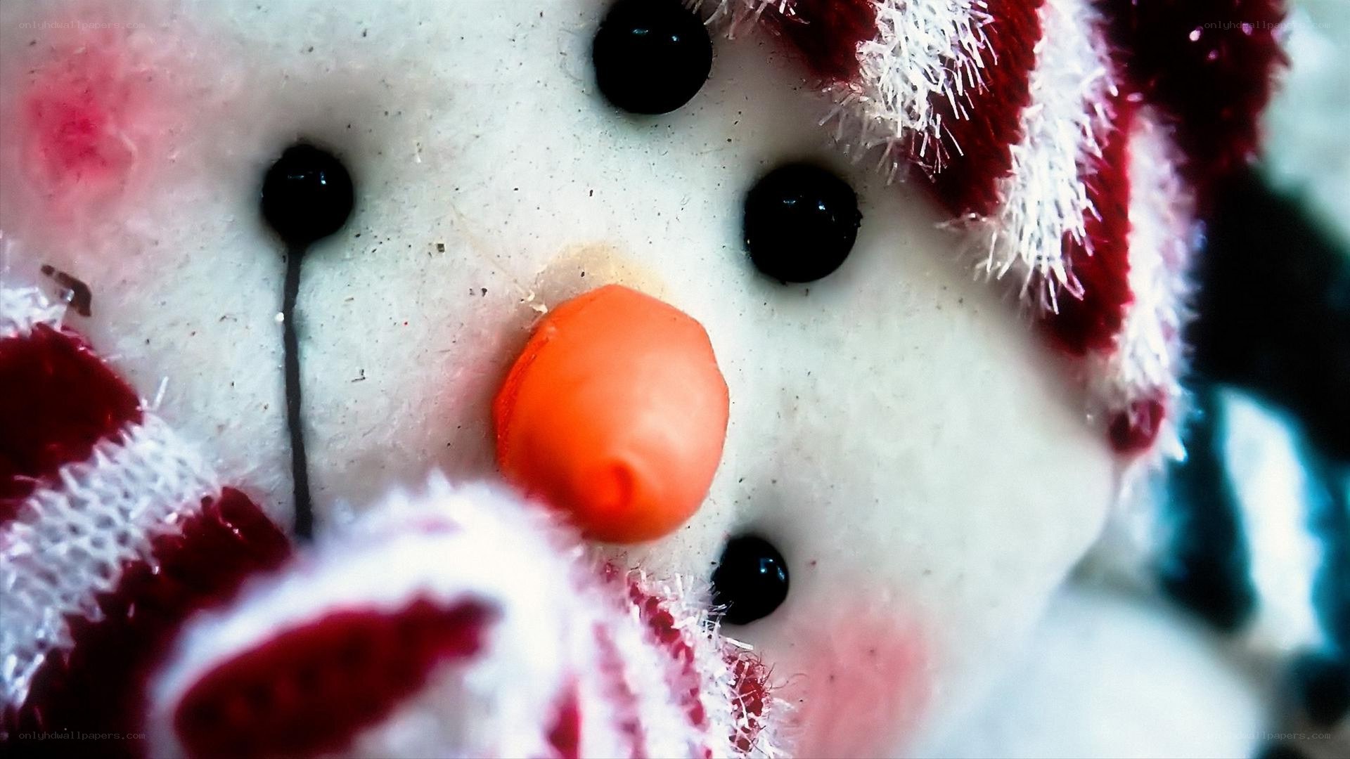 close-up of snowman face