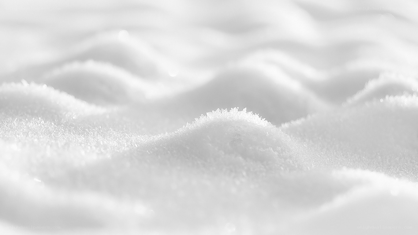 Close-up of snowy surface