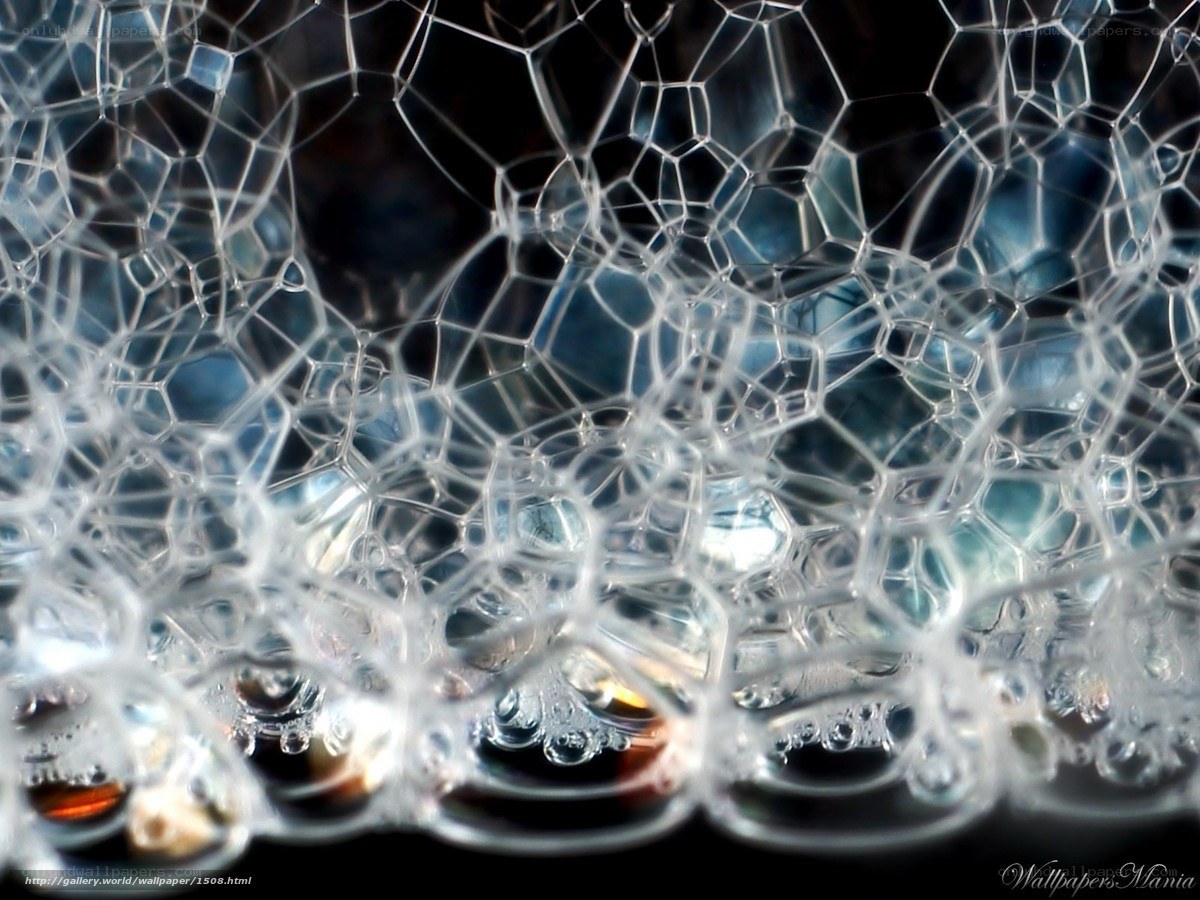 close-up of soap bubbles
