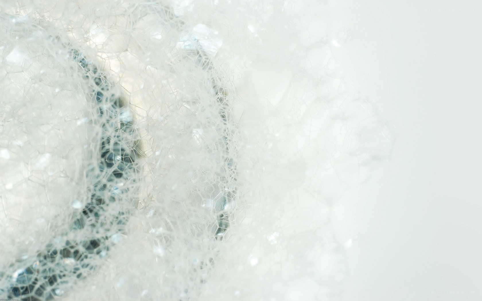 close-up of soap bubbles