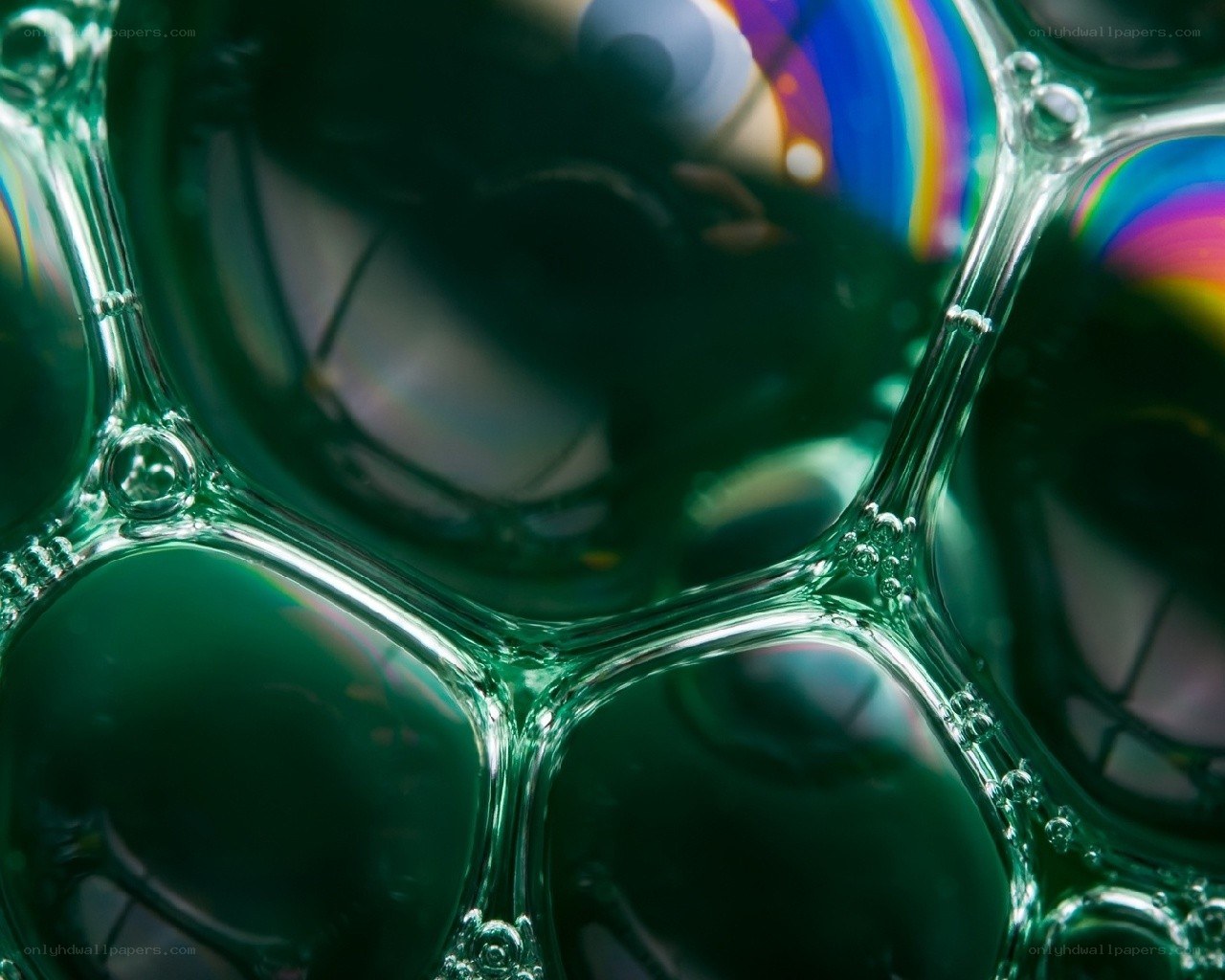 Close-up of soap bubbles
