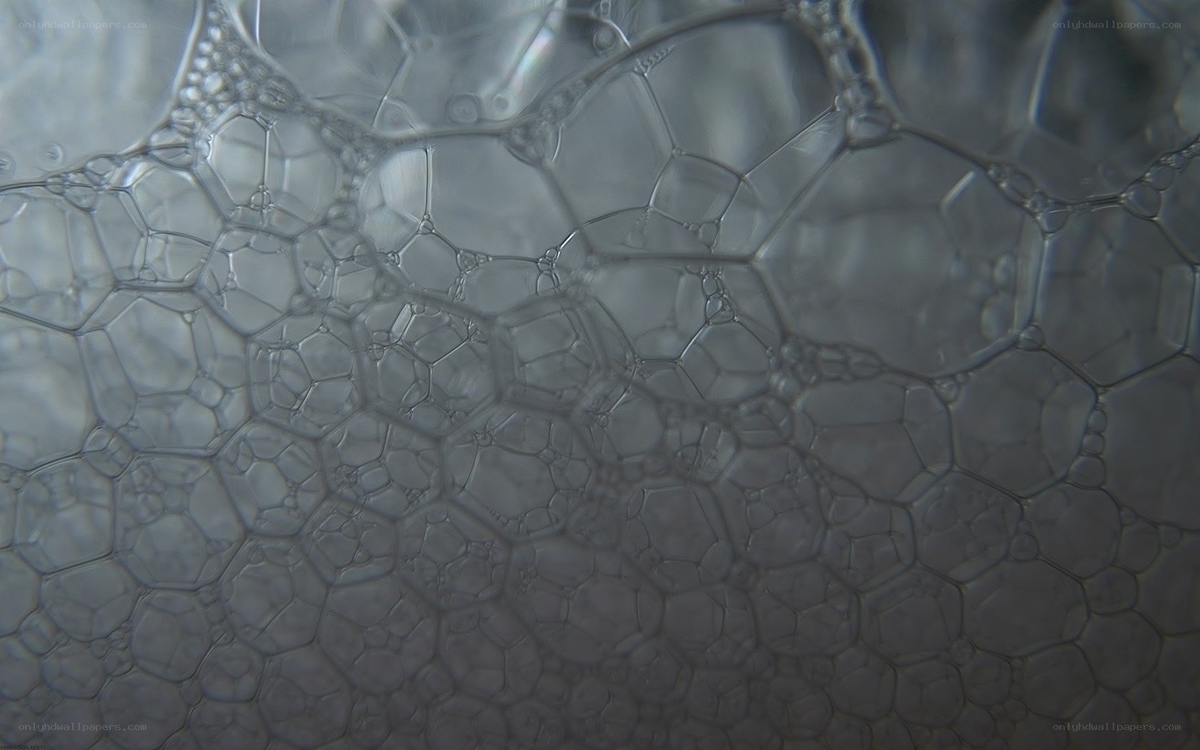 close-up of soap bubbles