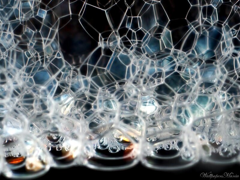 Close-up of Soap Bubbles — White, Calm, Photograph