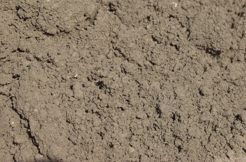 close-up of soil texture