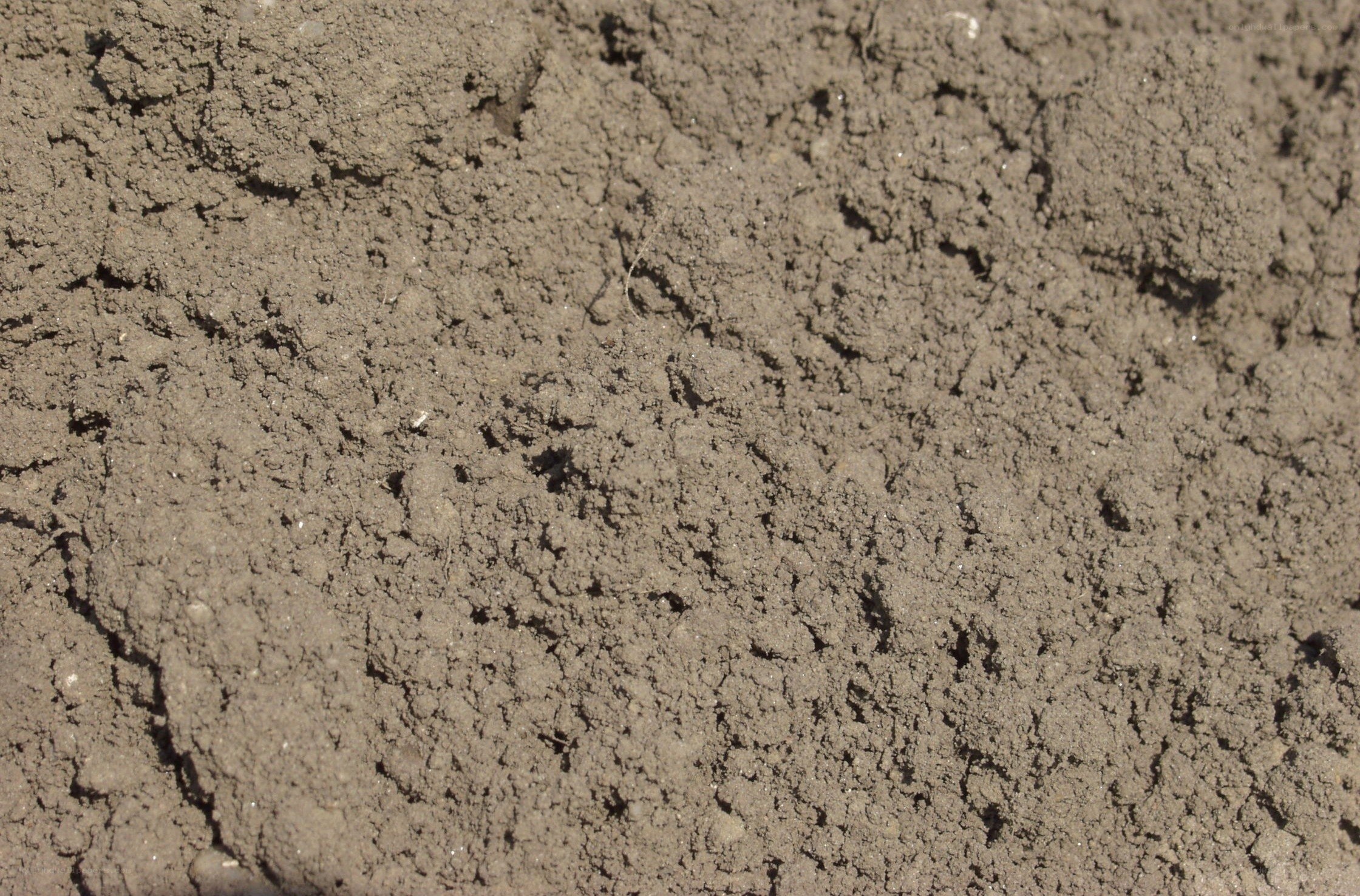 close-up of soil texture