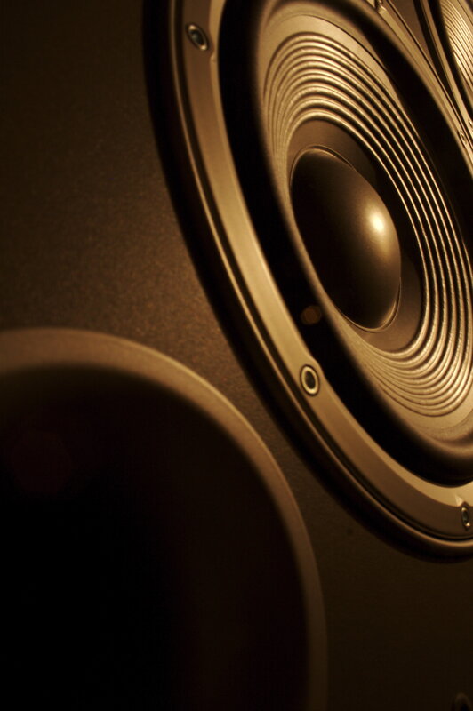 Close-up of Speaker Cone — Brown