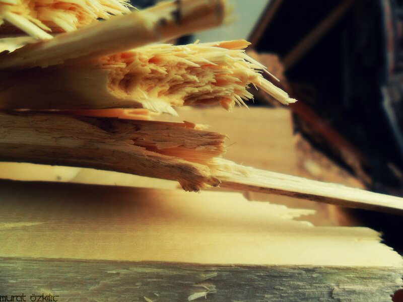 Close-up of splintered wood