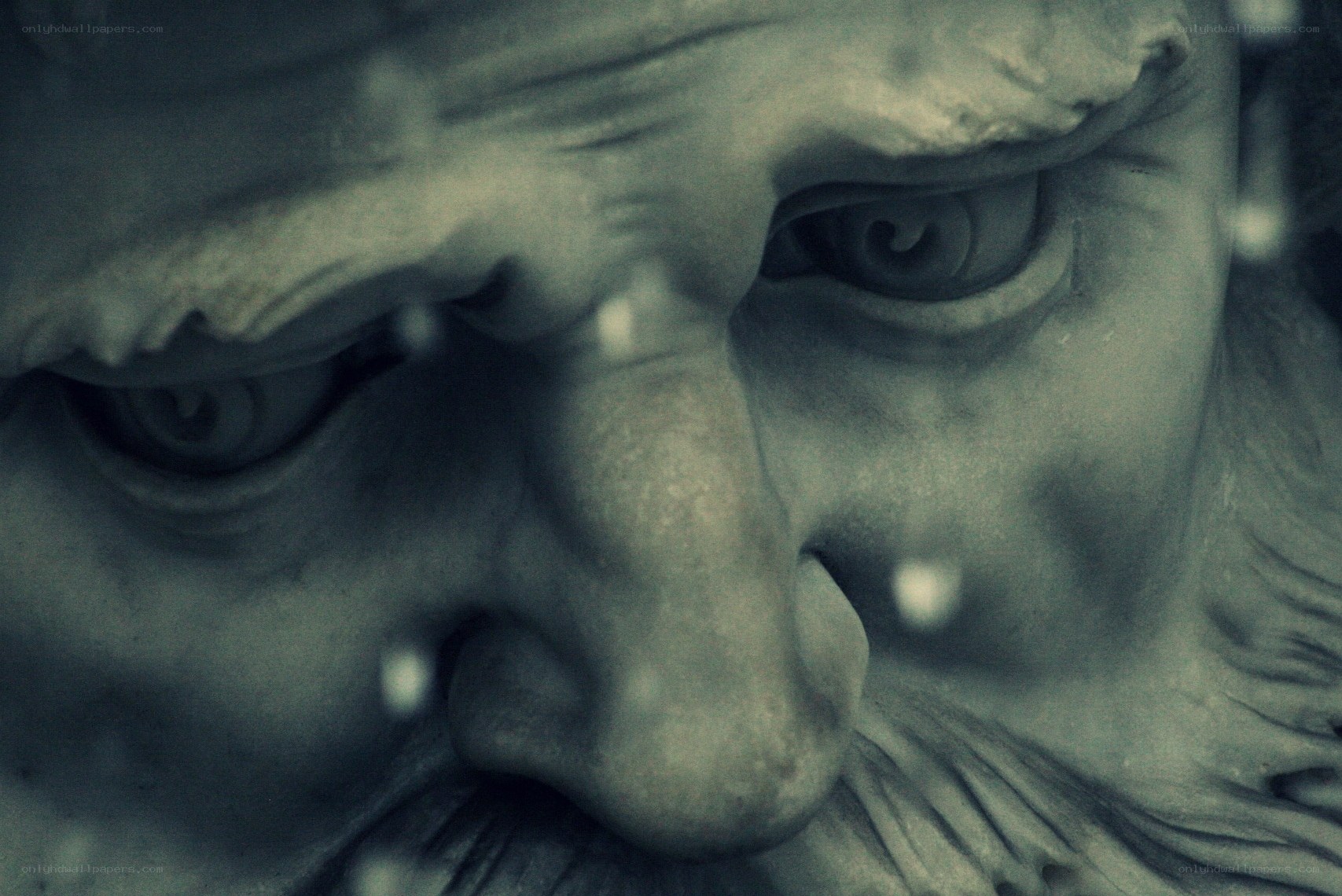 close-up of stone face