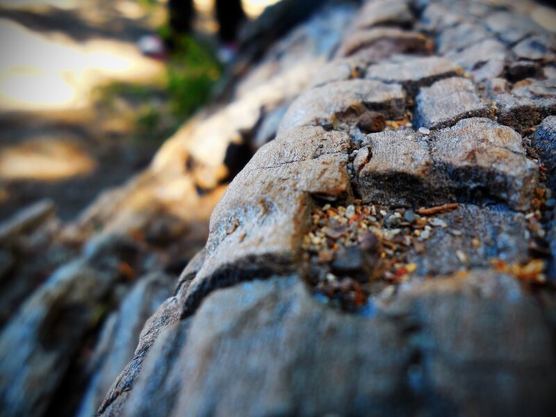Close-up of Stone Pavement