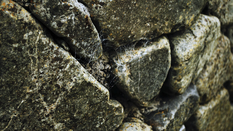 close-up of stone wall with spiderwebs