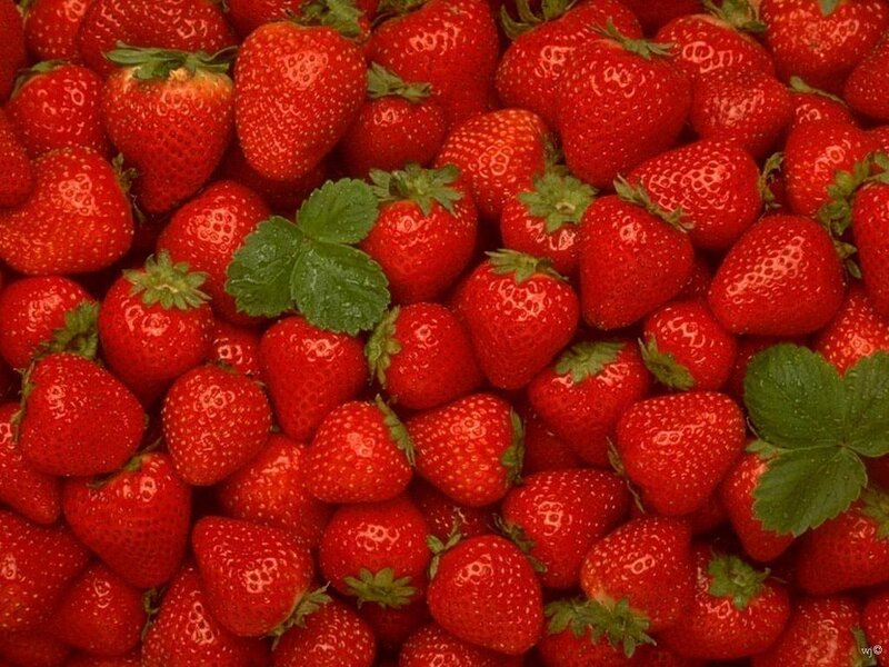 Close-up of Strawberries — Red, Fresh