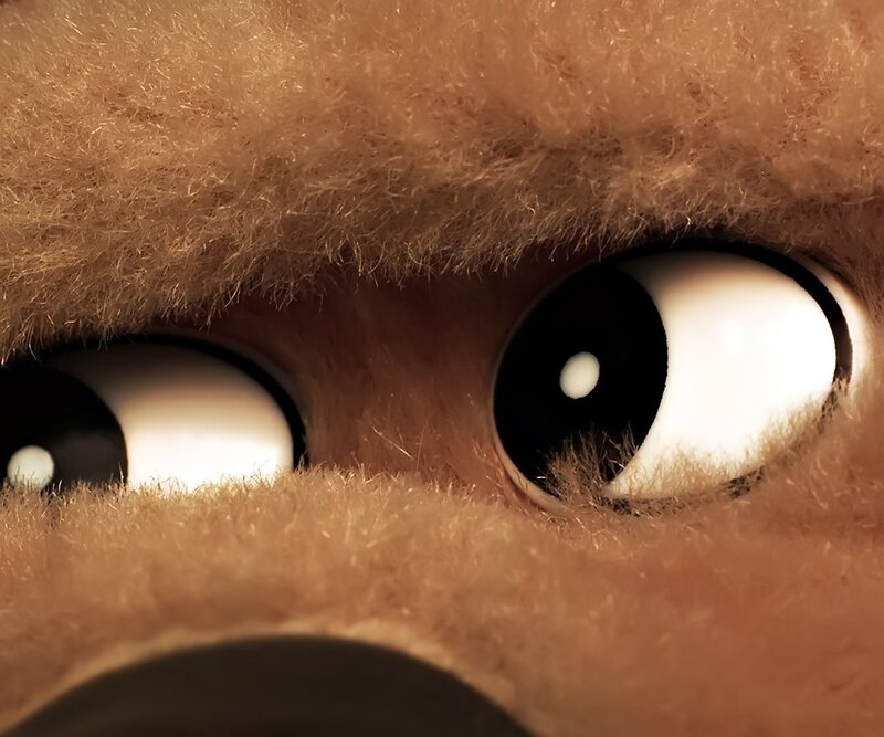 close-up of stuffed animal eyes