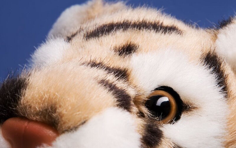 close-up of stuffed tiger