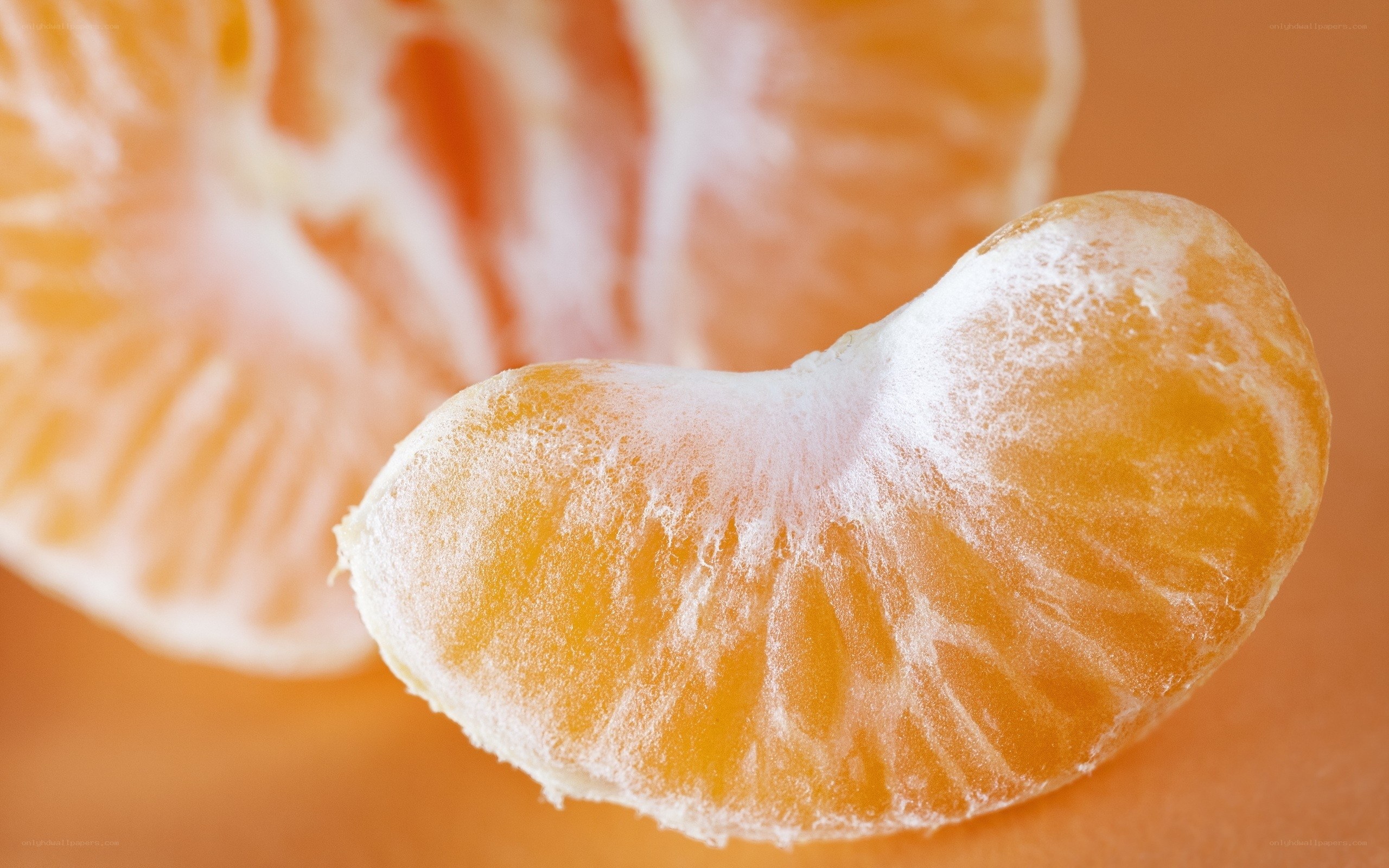 close-up of tangerine slice