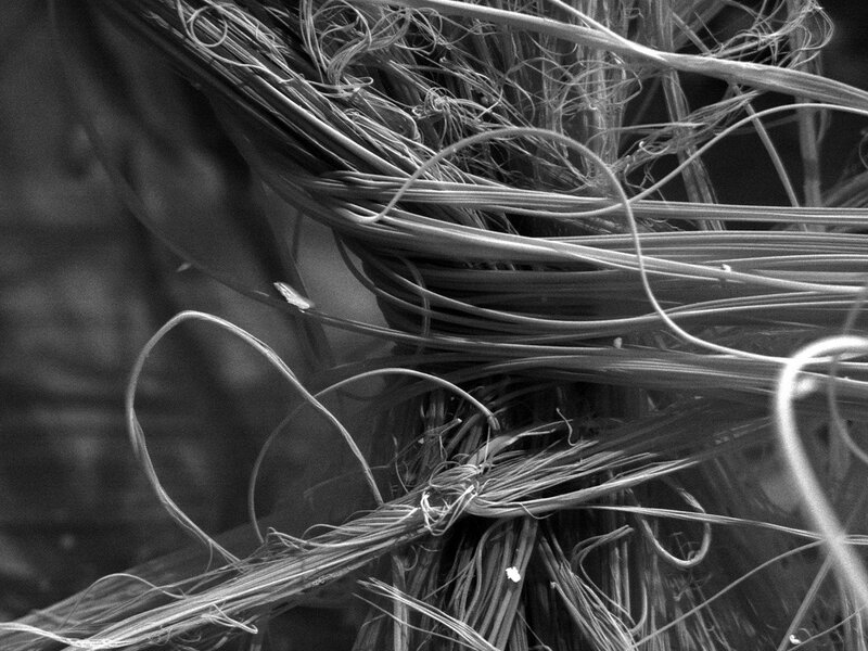 close-up of tangled fibers