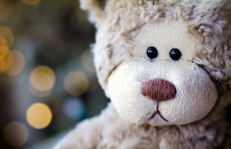 Close-up of Teddy Bear — Beige