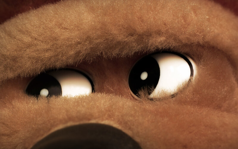 close-up of teddy bear eyes