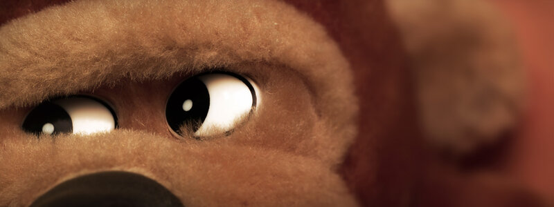 close-up of teddy bear eyes