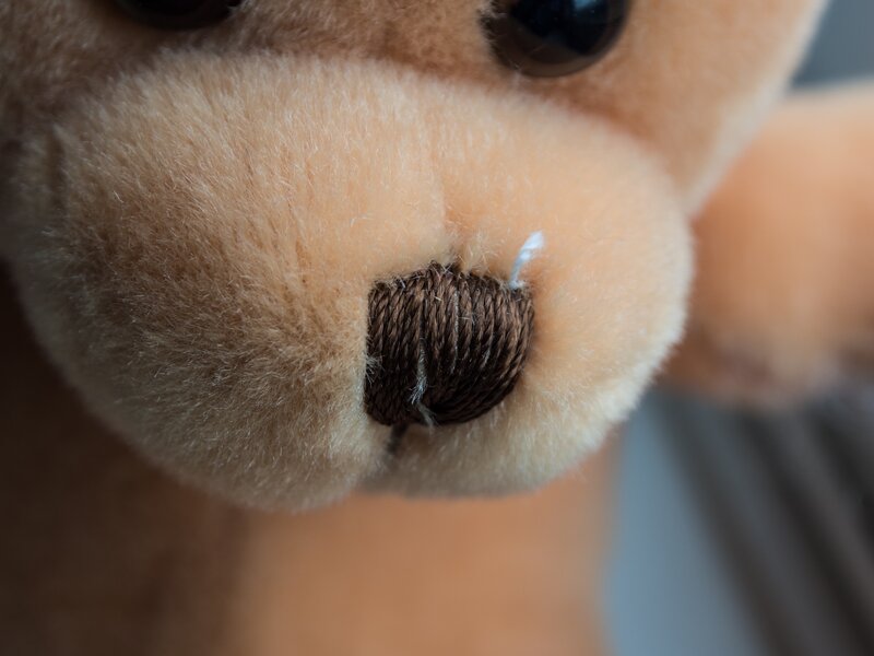 Close-up of Teddy Bear Nose — Brown
