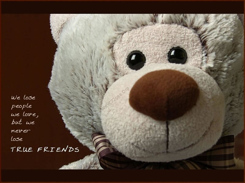 Close-up of Teddy Bear