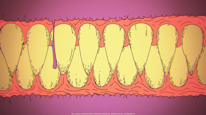 Close-up of Teeth and Gums