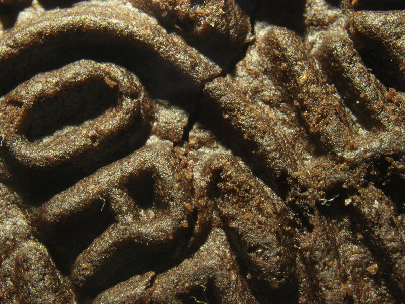close-up of textured brown material