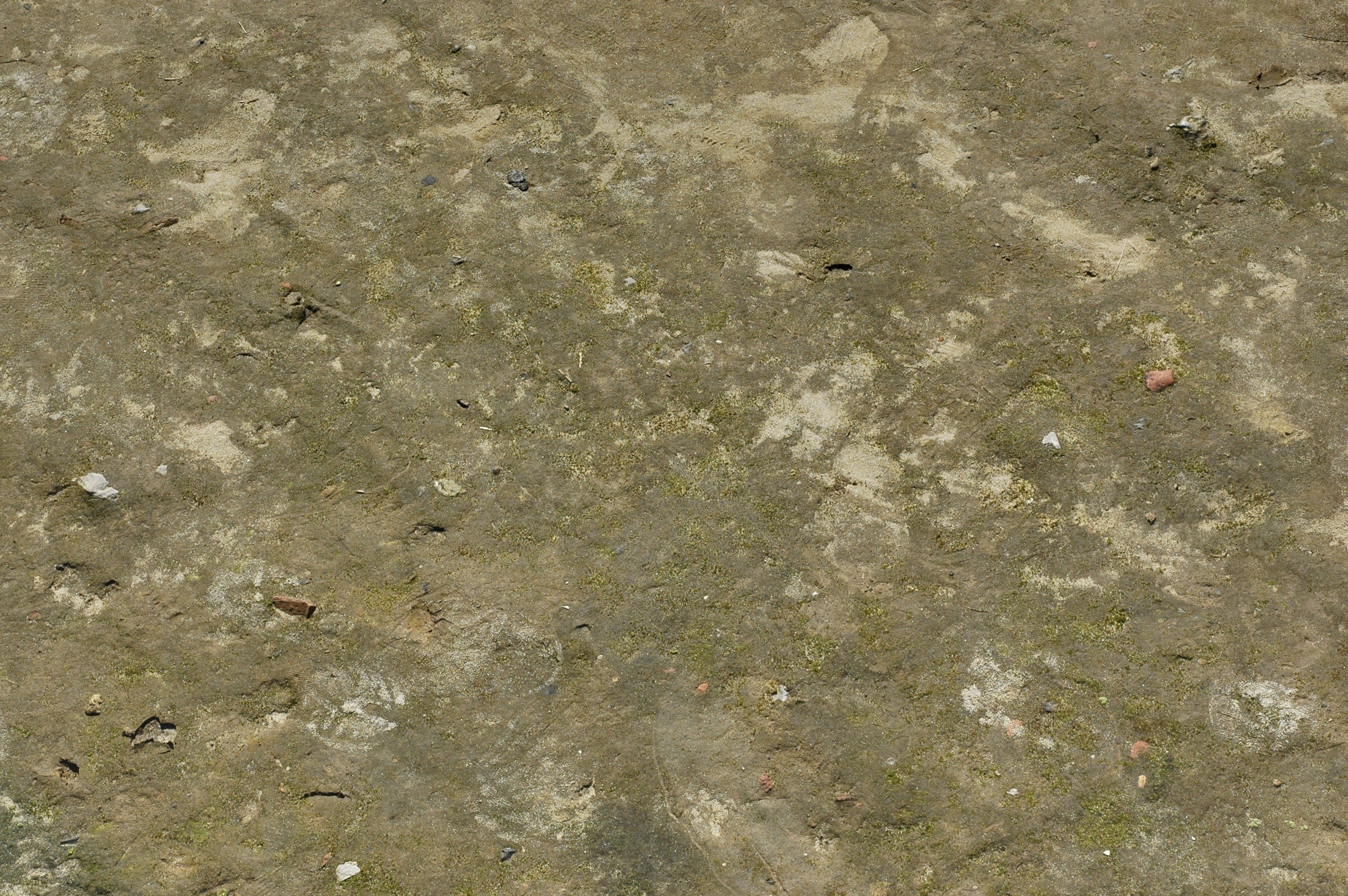 close-up of textured ground surface