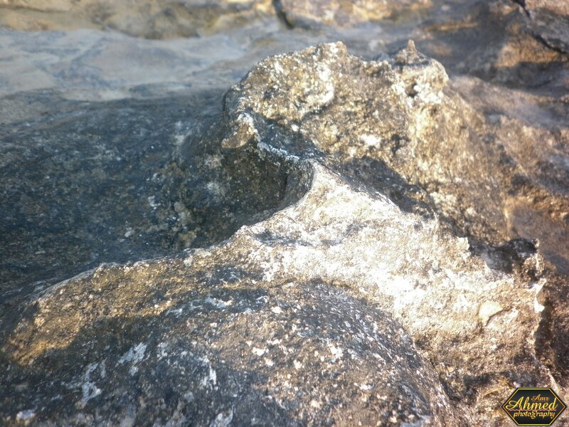 Close-up of textured rocks