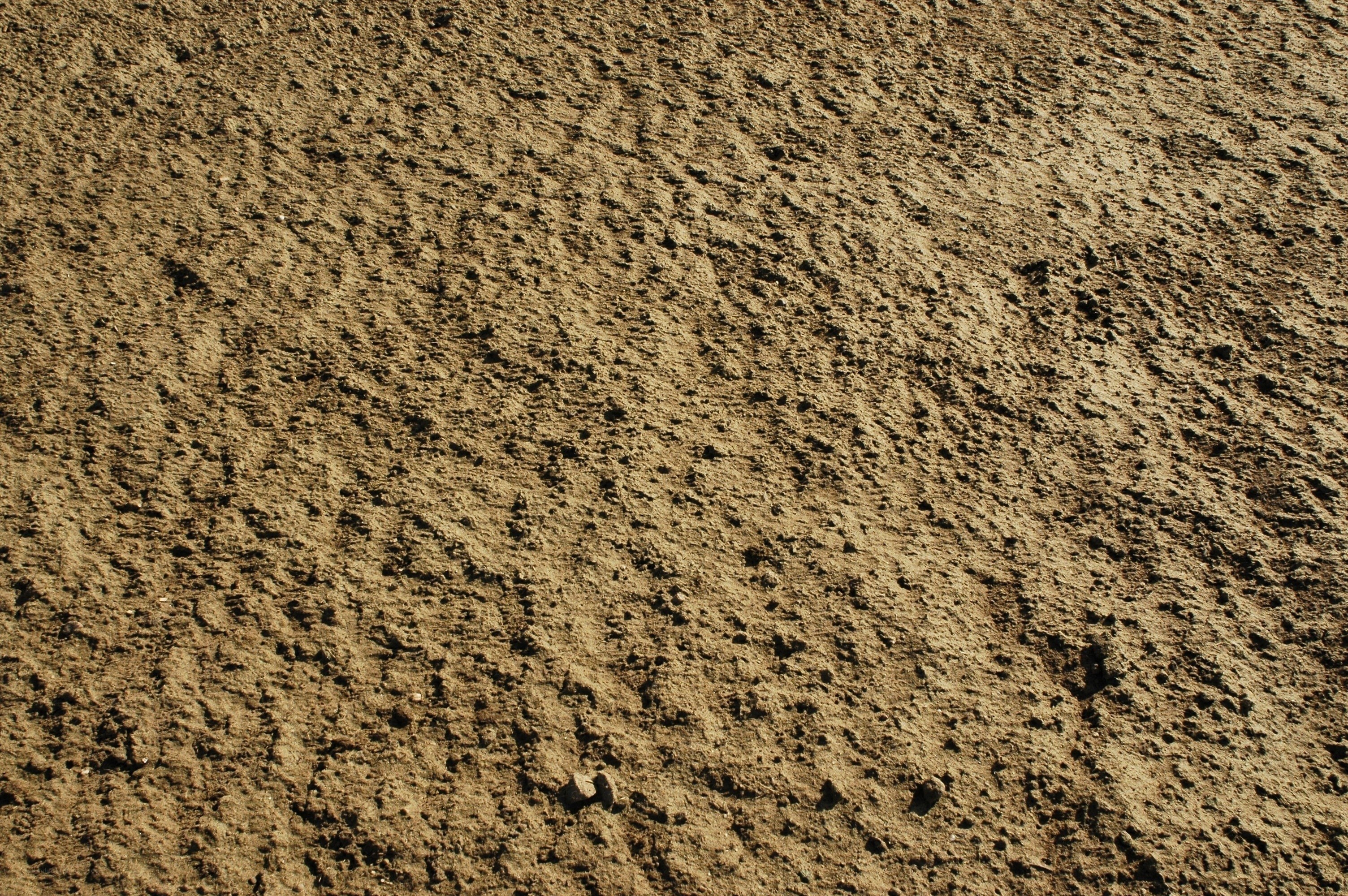 close-up of textured soil