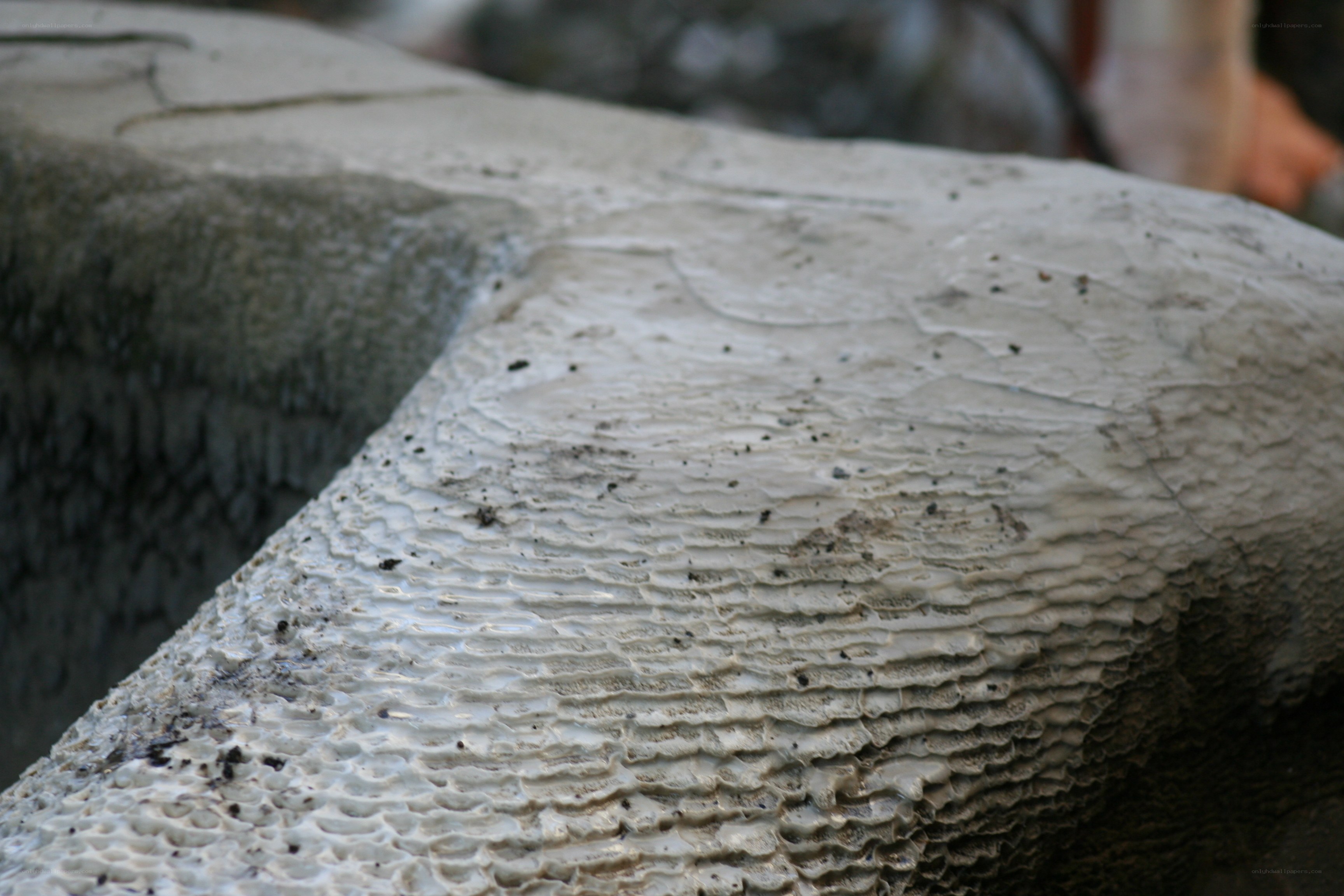 close-up of textured stone surface