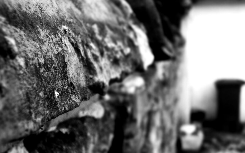 close-up of textured stone wall