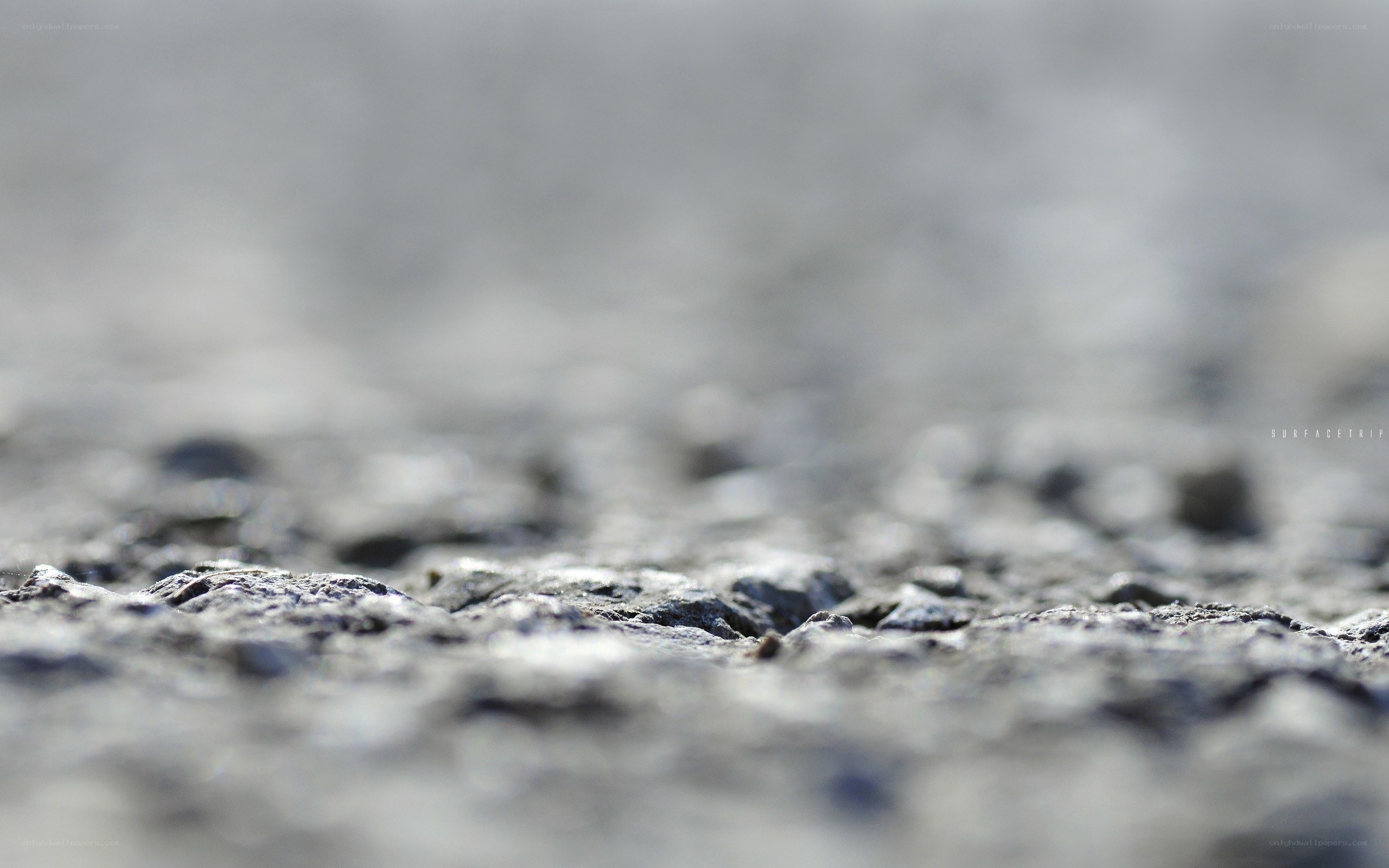 close-up of textured surface