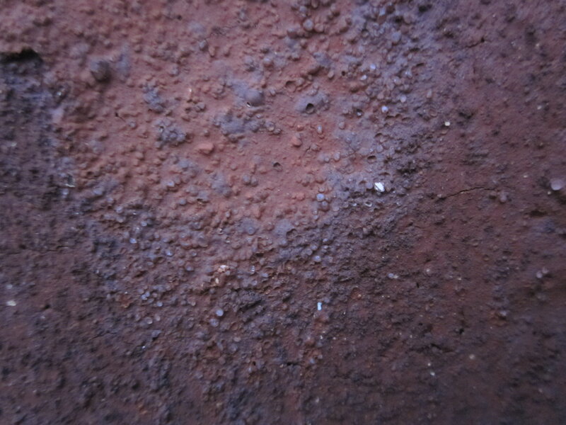close-up of textured surface
