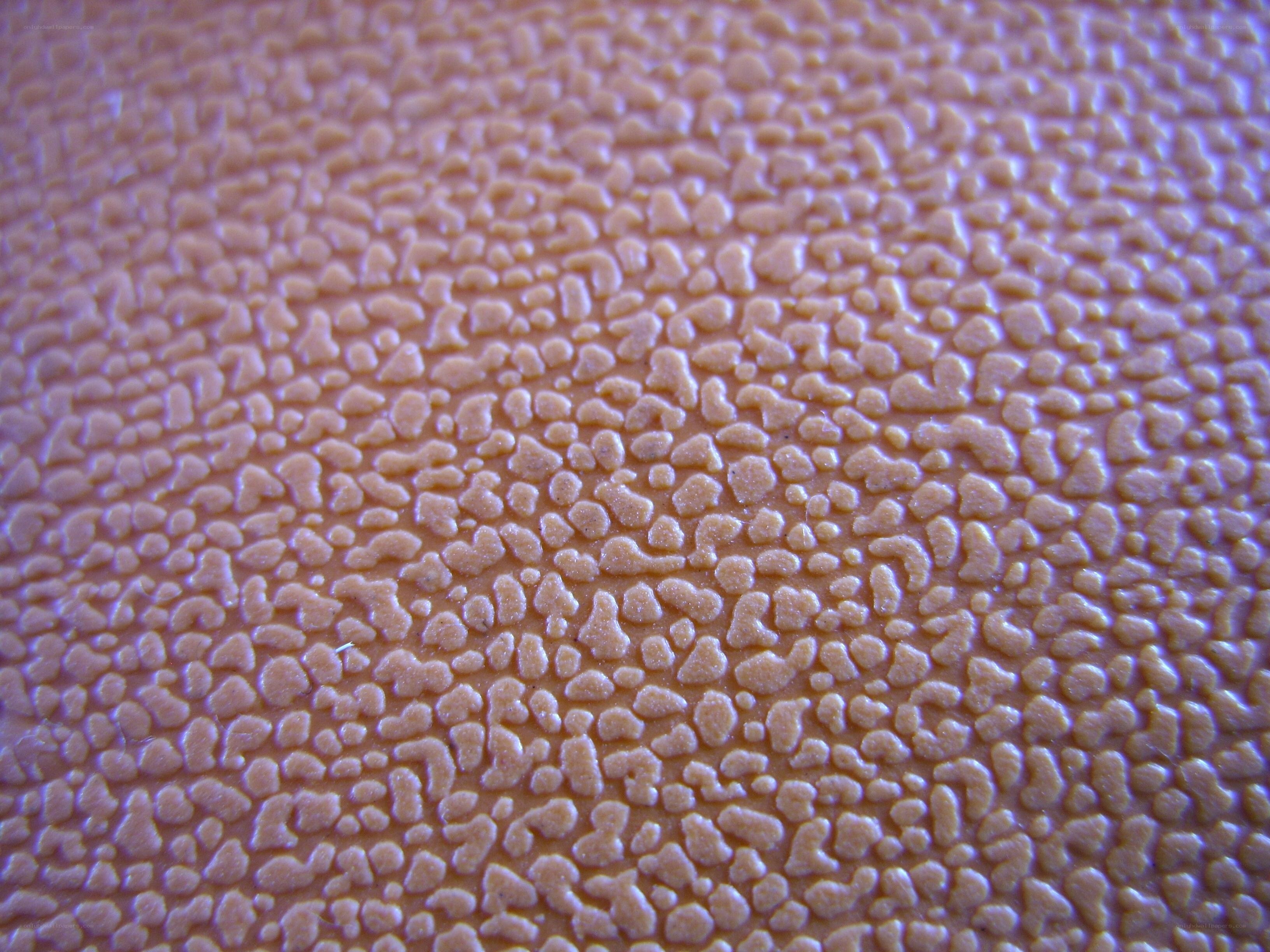 close-up of textured surface
